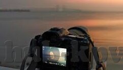 糖心vlog兑换码在哪-探寻糖心Vlog兑换码的奇妙之旅